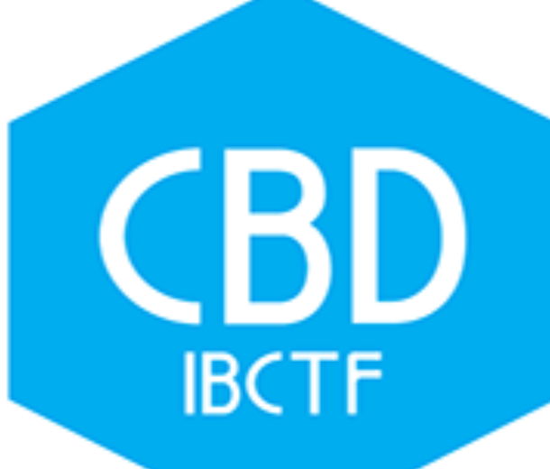 2023年第25屆中國（上海）國際建筑貿(mào)易博覽會（中國建博會上海）